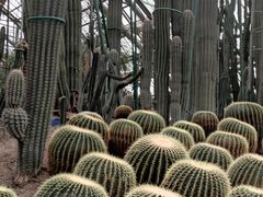-南山植物园
