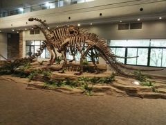 -自贡恐龙博物馆