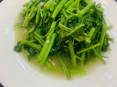 -大金山酒店