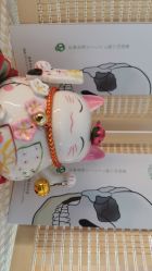 -FACE·日本小颜矫正美容整骨サロン