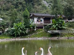 -鹿院坪生态旅游景区