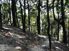 -火炉山森林公园