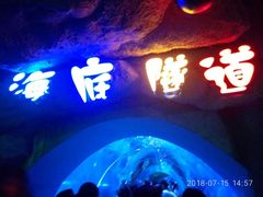-临沂极地海洋王国