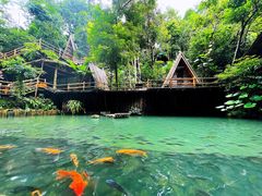 -海南槟榔谷黎苗文化旅游区