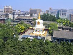 -护国法轮寺