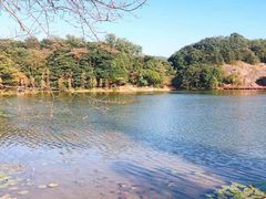 -广州市石门国家森林公园