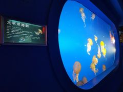 -太平洋海底世界