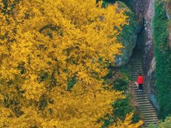 -大慈岩风景区