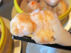 -采蝶轩