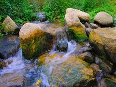 -黄金寨原生态旅游区