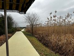 -良渚古城遗址公园
