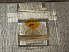 -湖南省地质博物馆