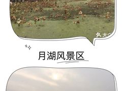 -月湖风景区
