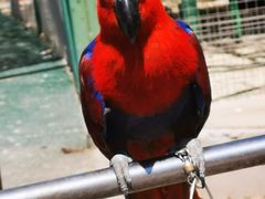 -新疆天山野生动物园