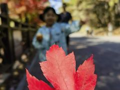 -沈阳森林动物园