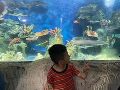 -泉州海丝野生动物世界