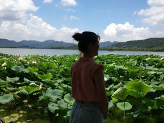 -西湖游船