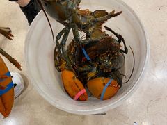 -顺风海鲜港(金玉兰店)
