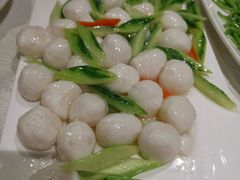 -丁老爷子苏香圆