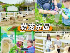 -栖露营camping·天幕烧烤·团建拓展·采摘营地