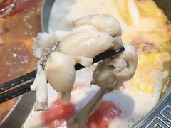 -销魂美蛙鱼头火锅(上海首店)