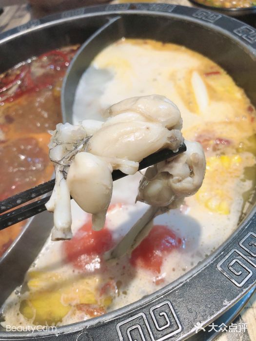 销魂美蛙鱼头火锅(上海首店)图片