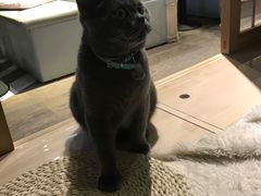 -小时光咖啡馆(开森度假森林店)