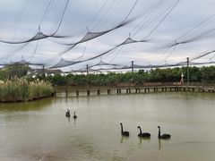 -鄱阳湖国家湿地公园
