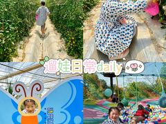 -菊园百果园