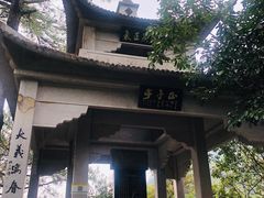 -遂昌金矿国家矿山公园