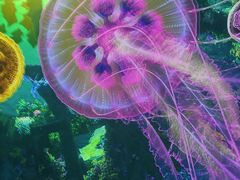 -海合安成都极地海洋公园