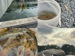 -DGE季风钓虾营地·团建·聚会