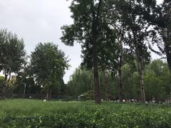 景点-北京动物园