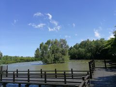 -大湾区中央湿地公园