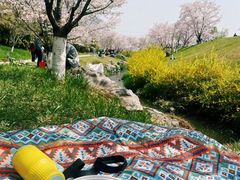 -羊山湖公园