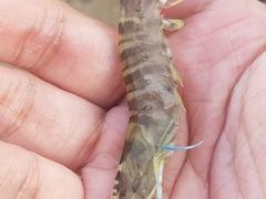 -钱大妈海鲜饭店(保利林语店)