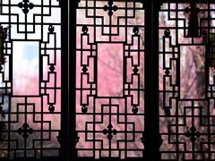 -望江楼公园