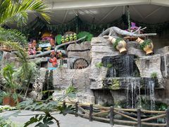 -南宫五洲植物乐园