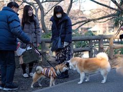 -三鹰之森吉卜力美术馆