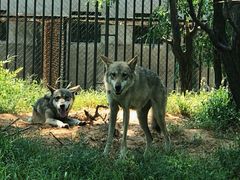 -秦皇岛野生动物园
