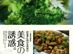 爱贝佳月嫂公司(沈阳分公司)-爱贝佳月嫂公司(沈阳分公司)