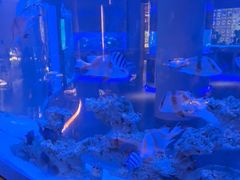 -上和臻品中国菜(花园街店)