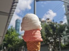 8424西瓜-Dal Cuore 达可芮冰淇淋(陕西北路店)