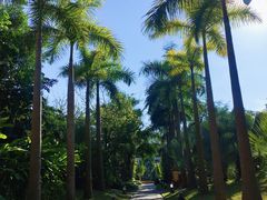 -西双版纳融创皇冠假日度假酒店