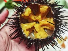 -毕家疃综合市场