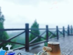 -五龙城郊森林公园