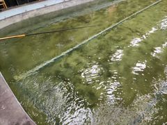 -光头佬室内钓虾场·烧烤·团建·亲子(中山八路店)