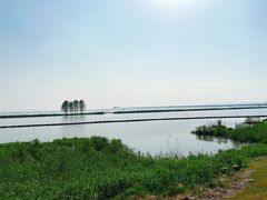 -无锡新湖铂尔曼大酒店