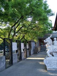 -北京市东城区妇幼保健院(北院区)