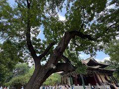-晋祠公园